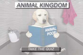 Take our fun quiz about animal poop! 