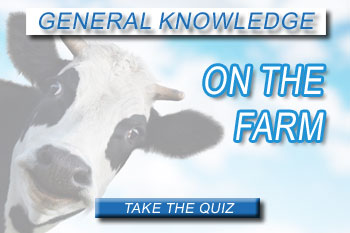 Take our fun quiz on the farm 